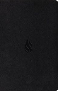 ESV, Premium Gift Bible, Imitation Leather, TruTone Midnight Flame Design