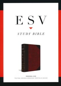 ESV, Personal Size Study Bible, Imitation Leather, Brown and Cordovan