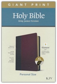 KJV, Personal Size Bible, Filament App, Soft Leather, Brwn/Mahog Ind.