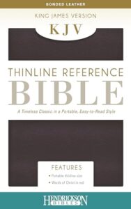 KJV, Thinline Reference Bible, Imitation Leather, Burgundy