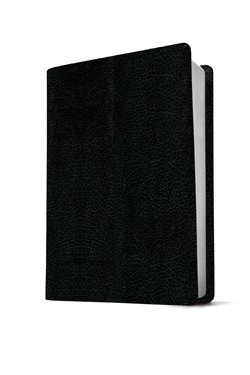 KJV, Life Application Study Bible, Third Edition, Bonded Leather, Black, Large Print - Image 2