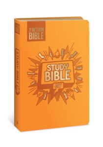ESV, Kids Action Study Bible, Imitation Leather, Yellow