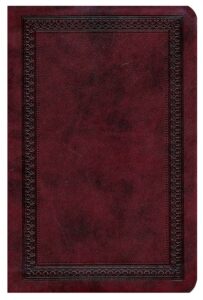ESV, Value Compact Bible, Im Lea, Burgundy with Border Design