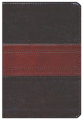 ESV, Person Size Ref Bible, Imi Lea, Deep Brown with Trail Design - Image 2
