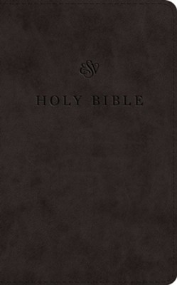 ESV, Premium Church Bible, Imitation Leather, Black, Large Print