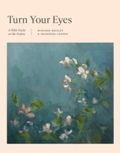 TURN YOUR EYES, BIBLE STUDY ON THE PSALMS